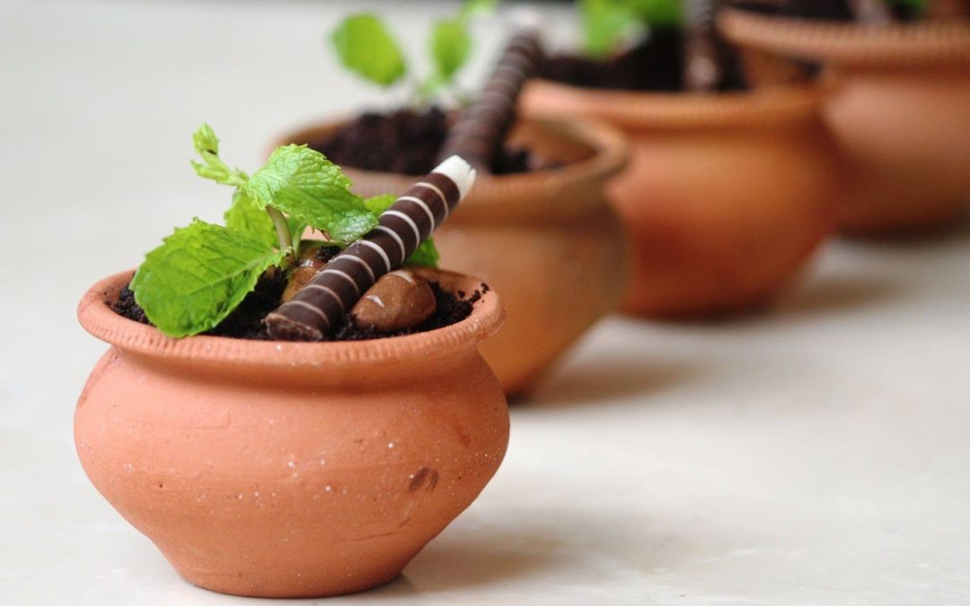 Looking for an Attractive Buffet? Saptami is the Go-to Place