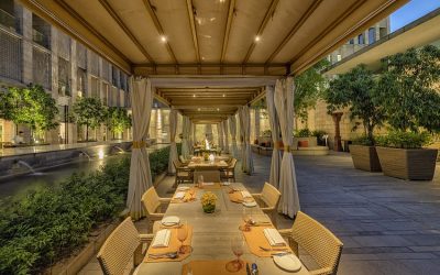 A Know-It-All Guide for The Table: Location, Menu, Ambience, Reviews, Photos