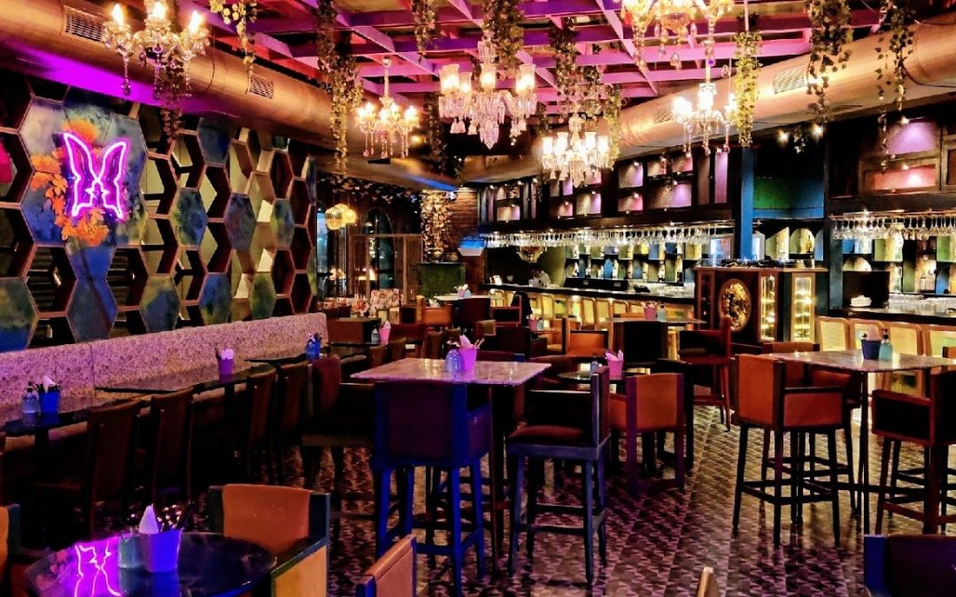 A Small Glance to Butterfly High: Menu, Reviews, Photos, Location, Ambience