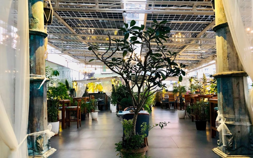 Get Cozy Vibes and Delicious Indian Fusion at Veranda Bandra