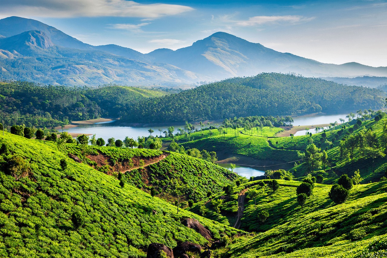 All you need to know about Munnar, Kerala