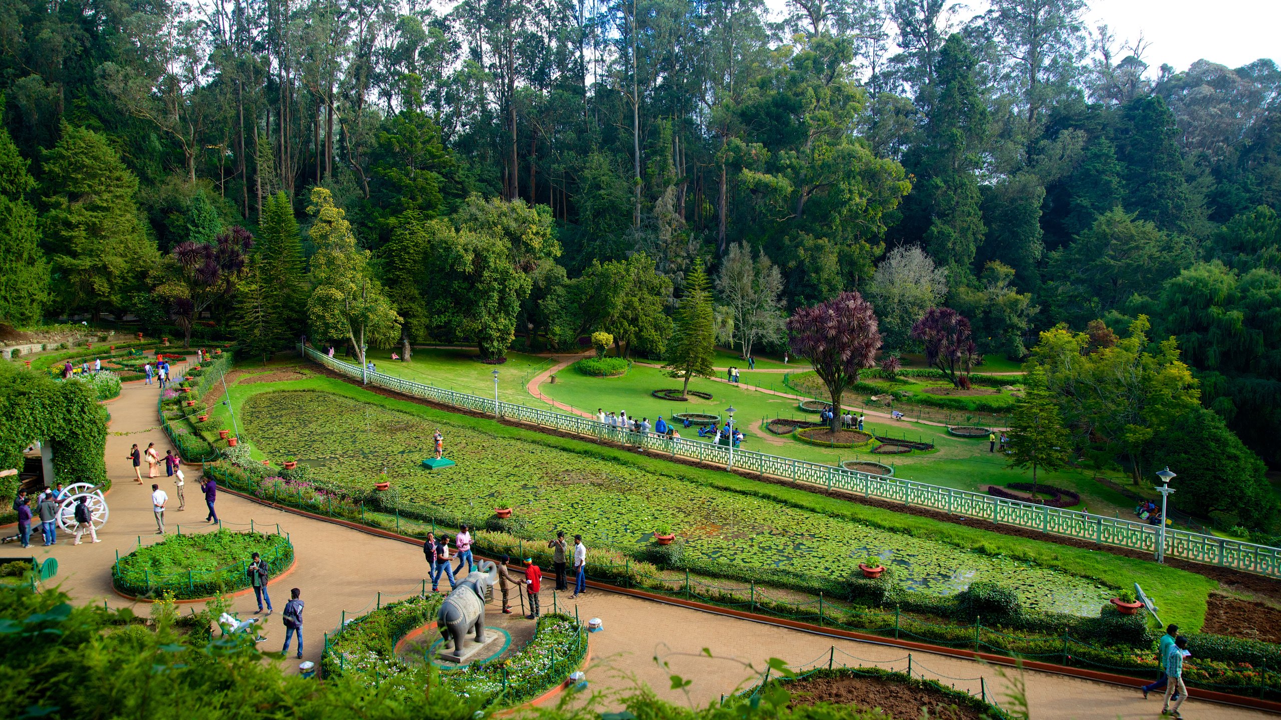 Top Things to Do and See in Ooty: A Comprehensive Guide