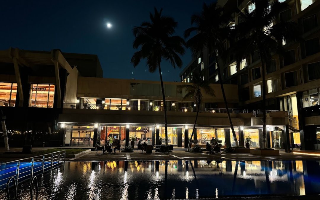 Photos, Location, Menu, Ambience and Reviews of Gadda Da Vida