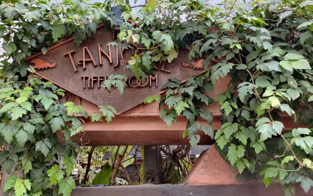 Taste Authentic South Indian Cuisine at Tanjore Tiffin Room