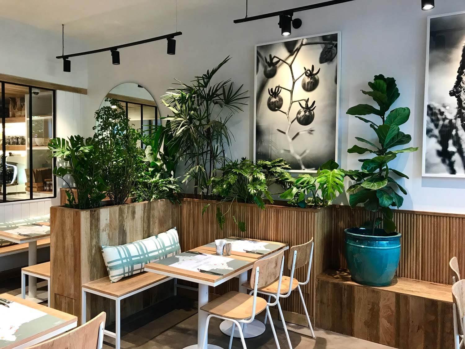 Savor the Flavors of Suzette Mumbai: A Culinary Journey Like No Other!