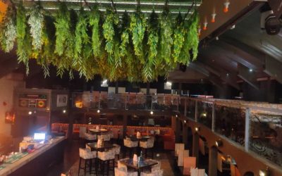 A16 Lounge: Best Lounge of Thane West Photos, Reviews, Menu, etc.